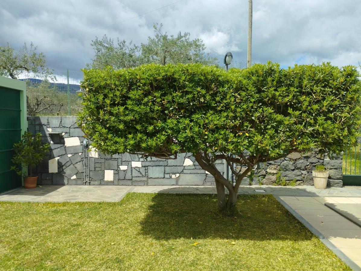 Villa Capogrecale - Piscina Riscaldata Piedimonte Etneo Eksteriør billede