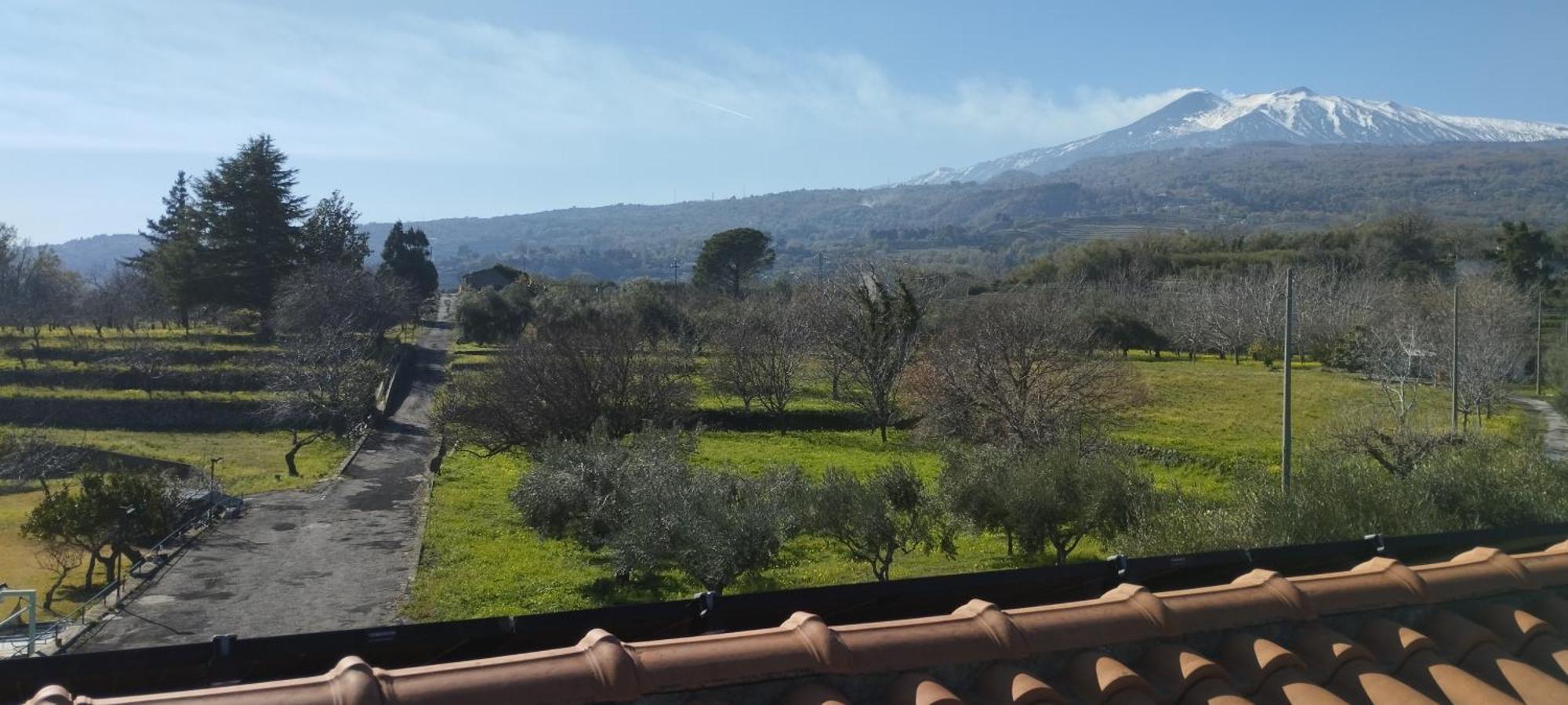 Villa Capogrecale - Piscina Riscaldata Piedimonte Etneo Eksteriør billede
