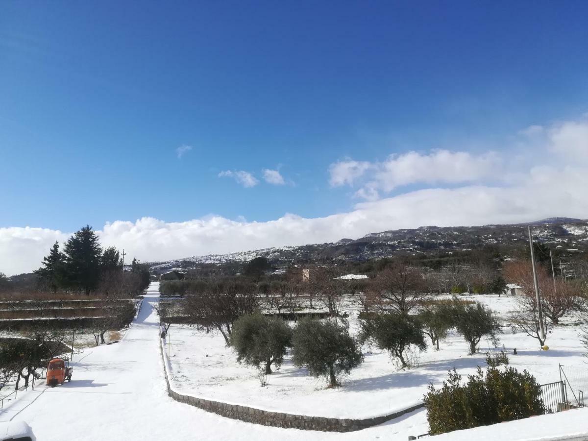 Villa Capogrecale - Piscina Riscaldata Piedimonte Etneo Eksteriør billede